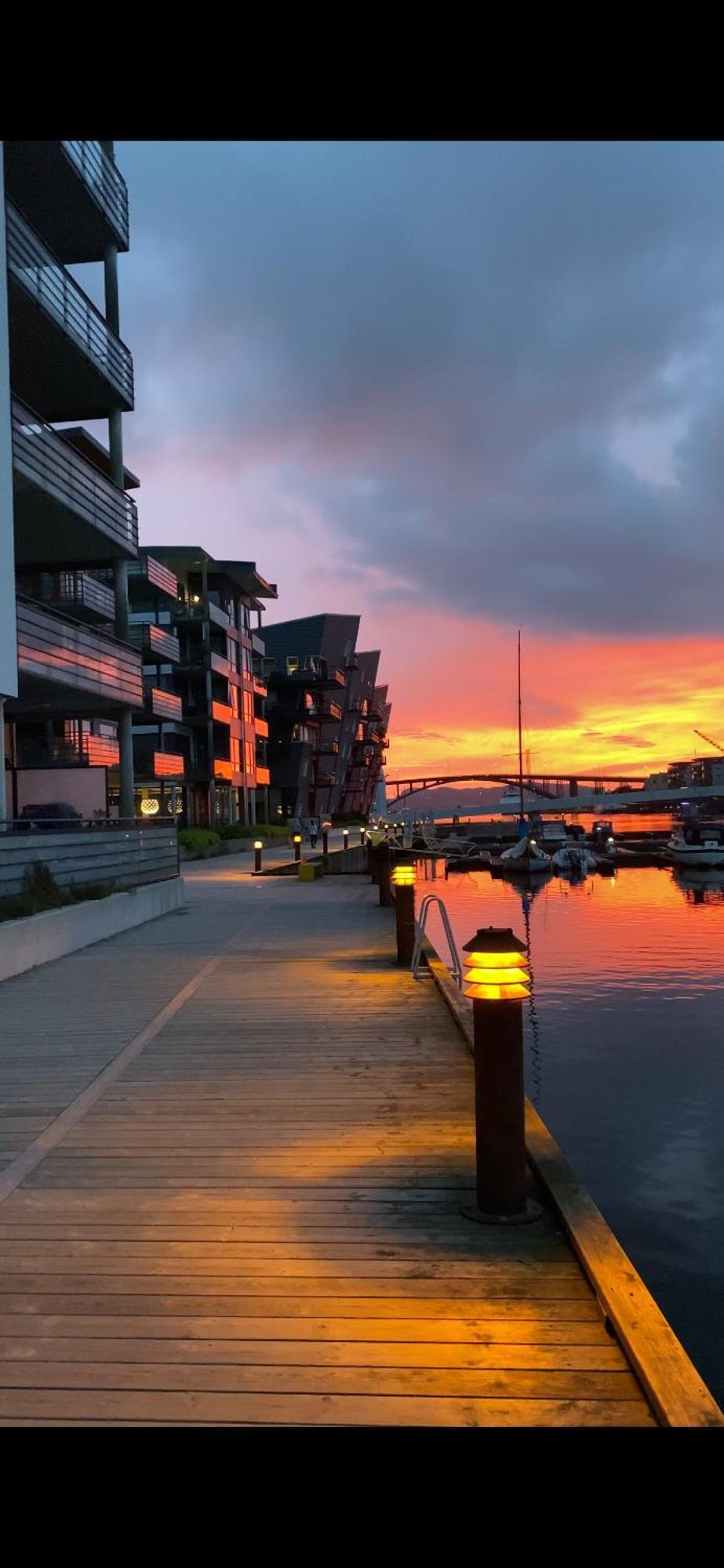 Nydelige Damsgardsveien, 3-Roms Moderne Leilighet! Bergen Dış mekan fotoğraf