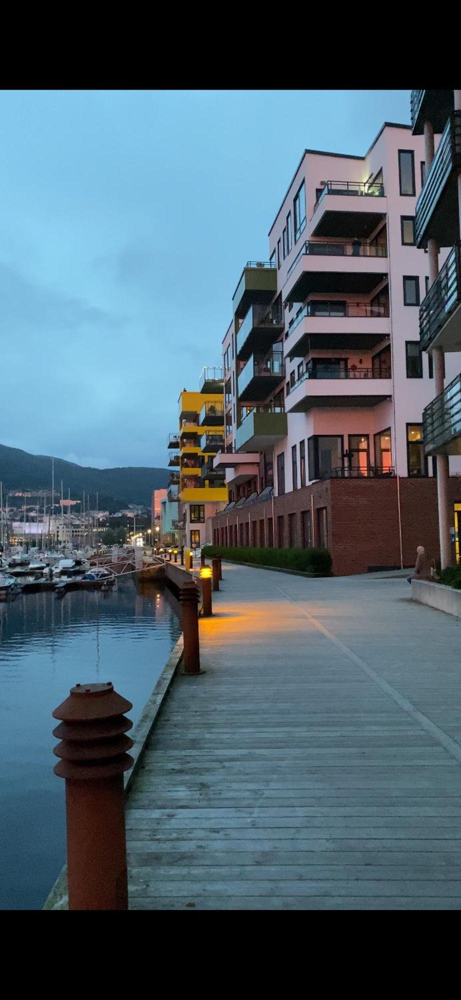 Nydelige Damsgardsveien, 3-Roms Moderne Leilighet! Bergen Dış mekan fotoğraf